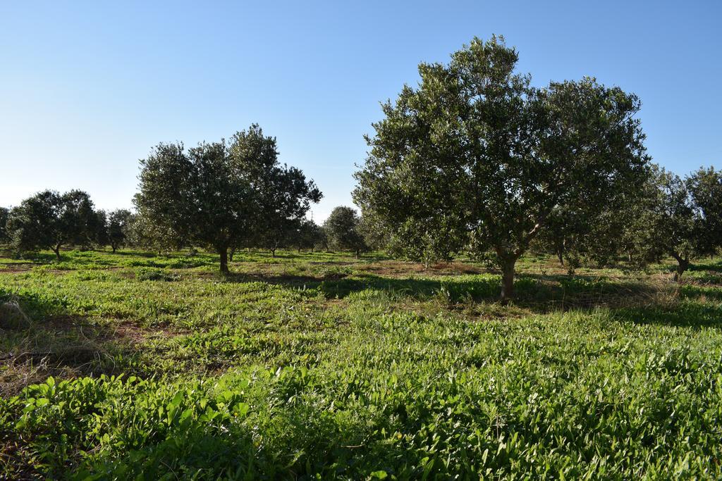 Cortijo La Molina De Cabo De Gata Vendégház Kültér fotó