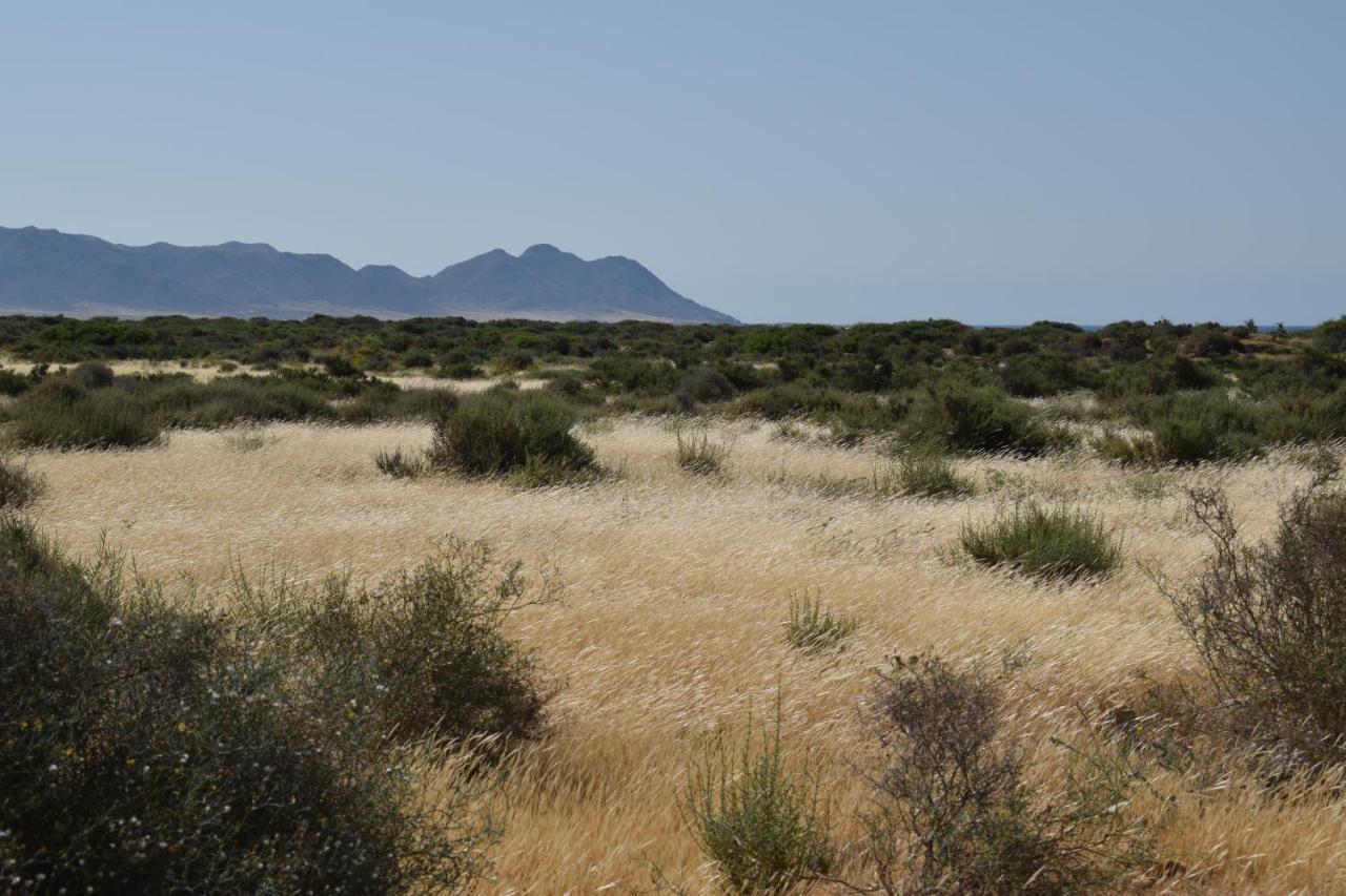 Cortijo La Molina De Cabo De Gata Vendégház Kültér fotó